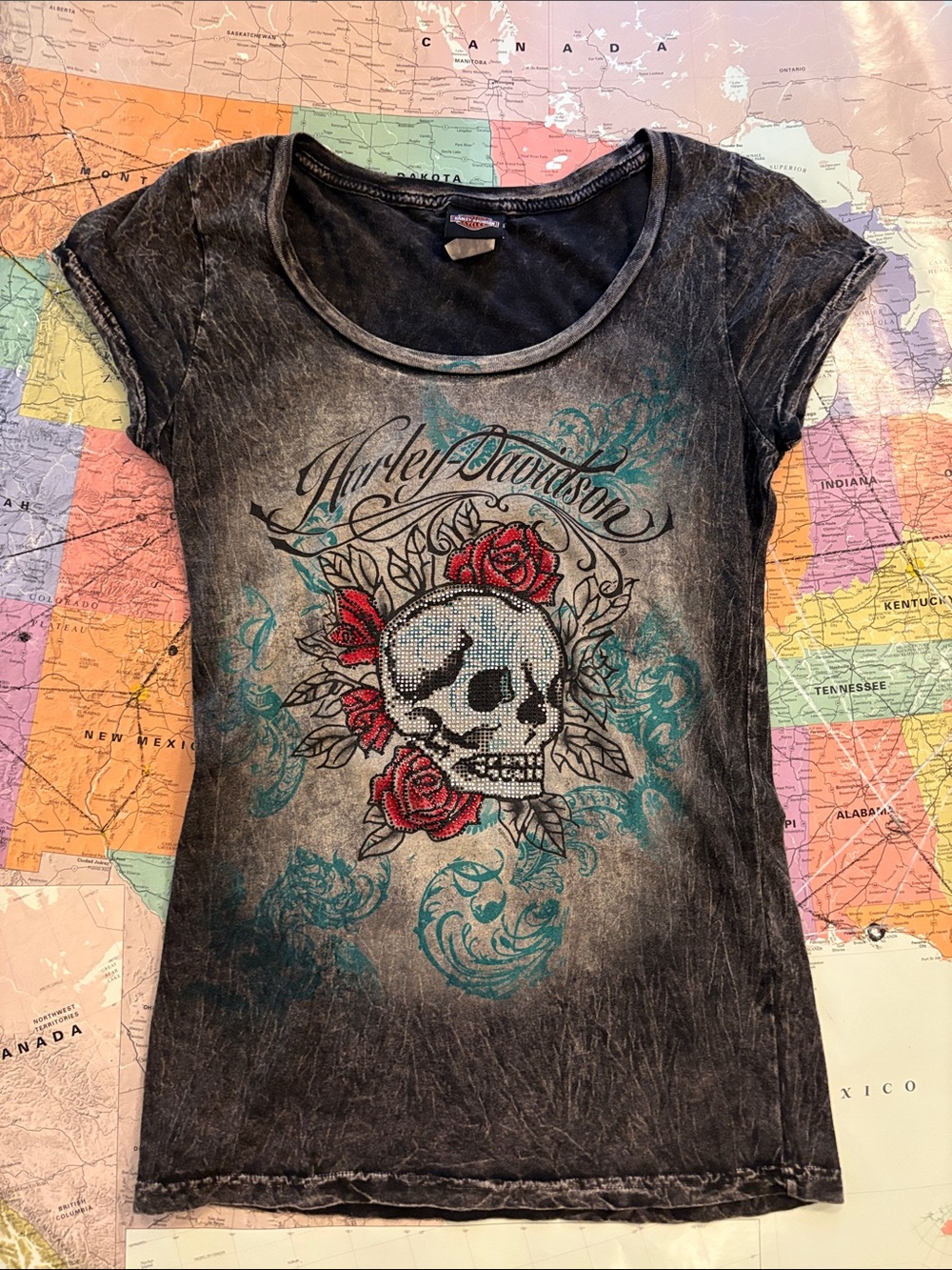 Harley Davidson Tee Skull Goth Yellowstone Collaboration Lg